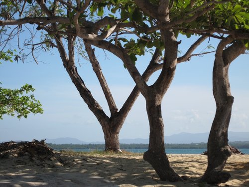 Cowrie Island