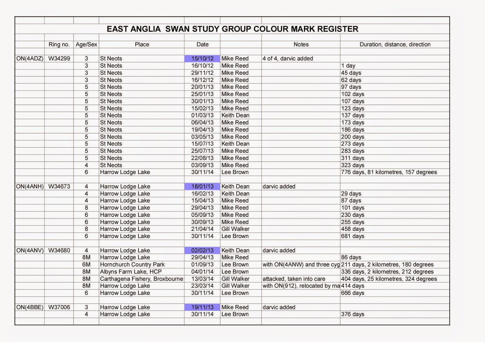 More Mute Swan Rings