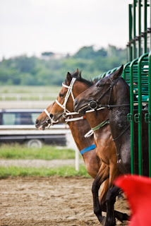 horse-racing-types-philippines