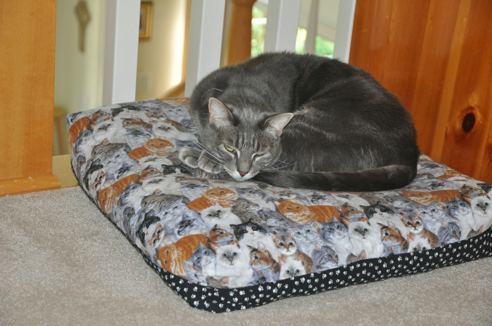 The Quilting Gardener Cat beds