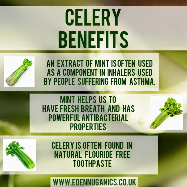 Celery Benefits For Heart at Rachel Gates blog