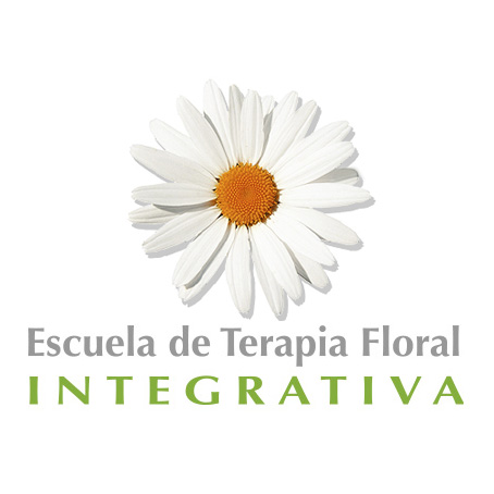 Nuestra web