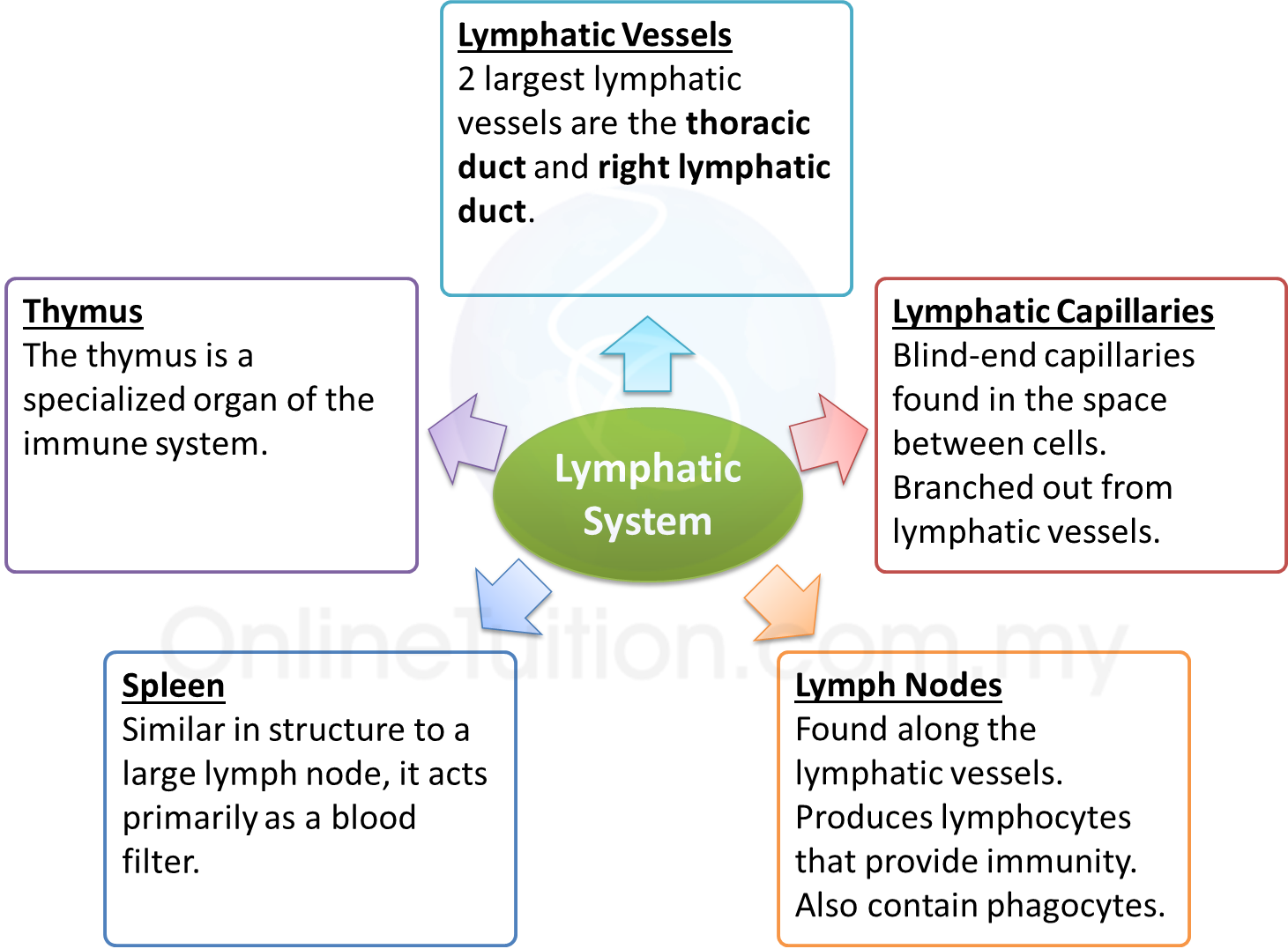 revision exercise form 4 biology Assalamualaikum and hello, it's revision time but before you proceed with answering the following topical exercise, here is a video to help you. revision exercise form 4 biology Assalamualaikum and hello, it's revision time but before you proceed with answering the following topical exercise, here is a video to help you.