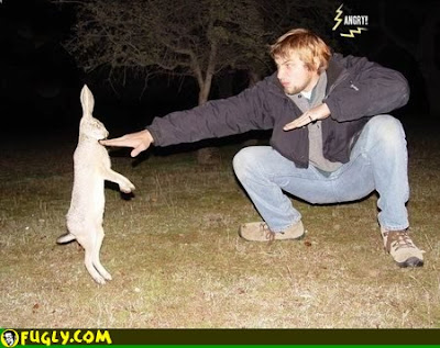 Imagenes de conejos.. conejos Imagenes de conejos..