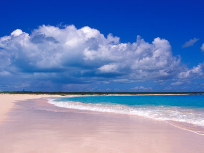 Download Harbor Island Bahamas Pink Sands Gif