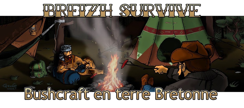 BreizhSurvive