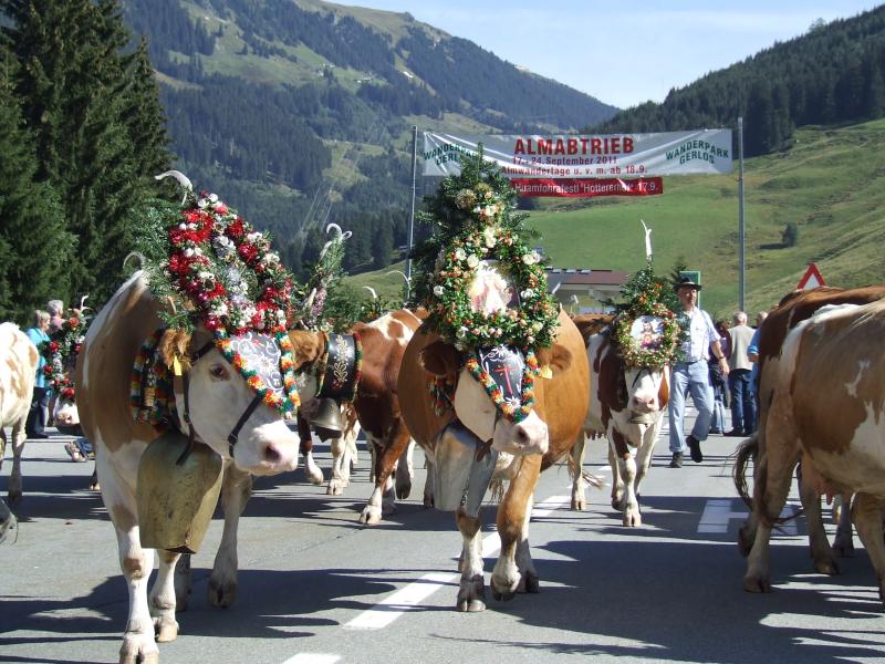 Herbstwanderung Sudtirol Ii Bergblumengarten