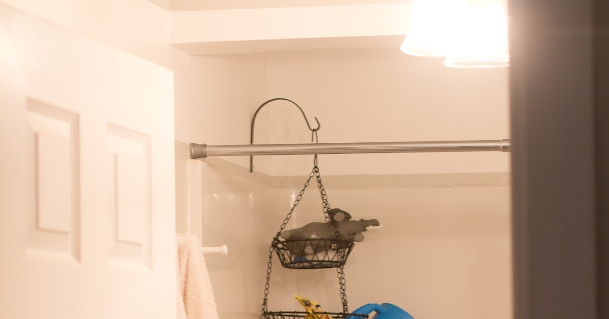 Dandelions on the Wall DIY Solution Bath Toy Storage