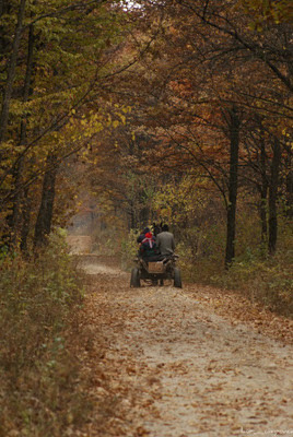 poze_toamna_autumn_l'automne_Herbst_otoño_ősz_φθινόπωρο_imagini