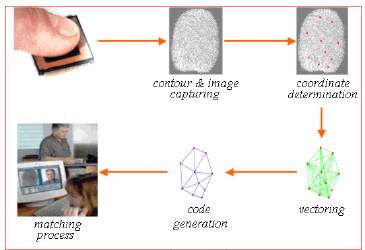 Contoh Aplikasi JST (Jaringan Syaraf Tiruan)