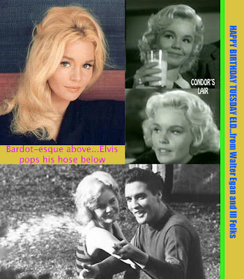 August 27: Happy 77th Birthday to Tuesday Weld #tuesdayweld