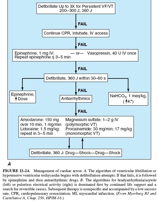 Cardiovascular Collapse and Sudden Death | Umaee FarmMed