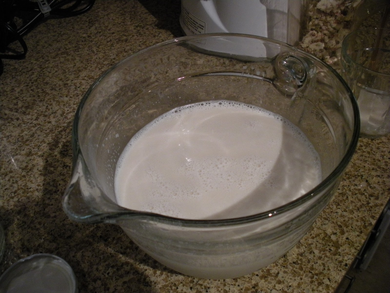 Bike Run Yoga: Making Almond Milk with a Hurom Juicer