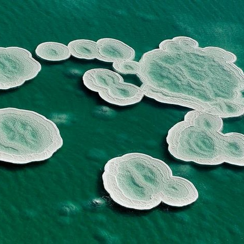 Subhanallah. Formasi Garam Yang Unik Di Laut Mati (11 Gambar)