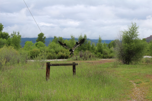 Jay%2BScott%2BOutdoors%2BFly%2BFishing%2BPhotos%2BSummer%2B2015%2B10.JPG