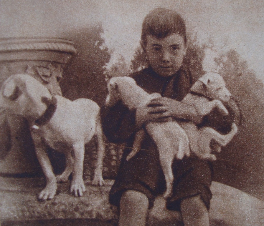 Café Arcadia: julio 2011