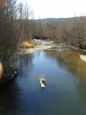 EL RIO OMAÑA A SU PASO POR LA UTRERA