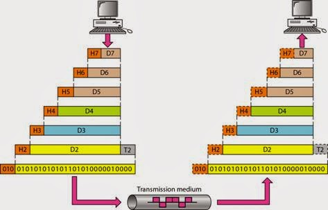 Essay Osi Layer Essay Osi Layer