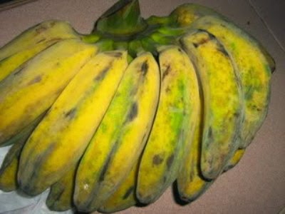 Manfaat buah pisang