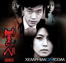 Chim Lửa - Phoenix Chim Lửa - Phoenix