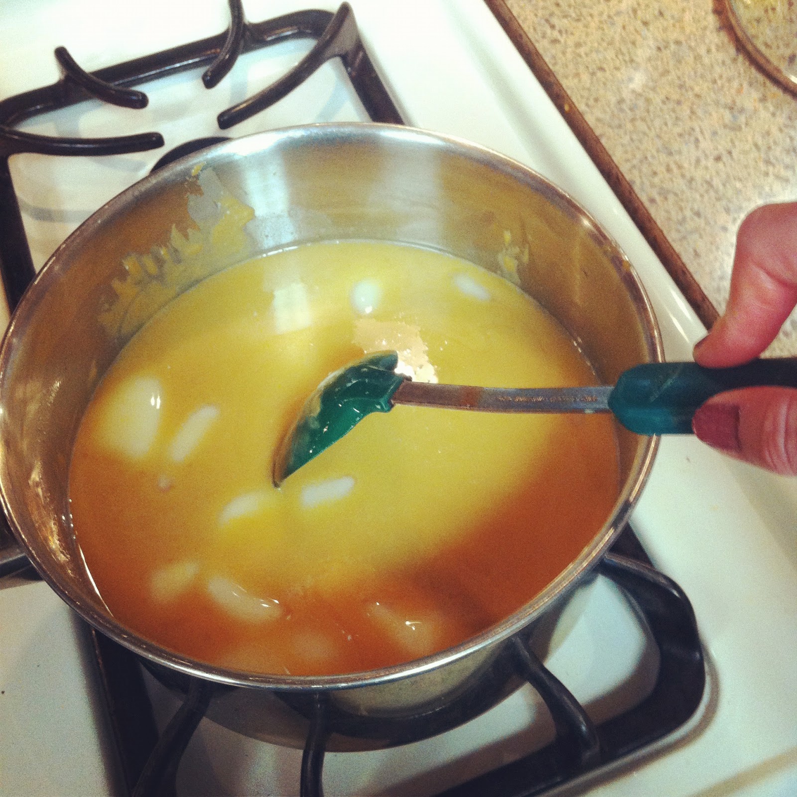 A cup of T DIY Bird Suet Cakes