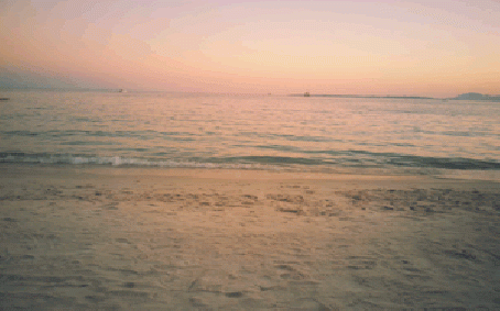 Cette image est une photo animée d'une plage. L'image est tres simple, elle montre une plage de sable avec la mer : l'eau bouge en un ressac inlassable. Le sable porte des marques, il n'est pas totalement uniforme. la scene prend place lors du crepuscule comme le laisse supposer la couleur orangee du ciel qui nimbe toute l'image. Il se degage de cette image une impression de melancolie, due a l'abandon du lieu ainsi qu'au moment, la fin de la journee avec son coucher du soleil. La lumiere est diffuse. Cette image animee simple mais de grande beaute accompagne le magnifique poeme de l'immense poete Le Marginal Magnifique intitule "Bel ete" dans lequel Le Marginal Magnfique livre ses sensations estivales, melange de celles liees aux activites communes de la saison, comme la plage et les touristes, et d'impressions plus personnelles. Le titre apparait alors ironique, car Le Marginal Magnifique, s'il ne livre pas une critique explicite de l'ete et de ses habitudes, laisse entendre qu'elle cree chez lui de la melancolie et l'envie de s'isoler. Le grand poete prend ainsi le contre-pied des sentiments de la plupart des gens qui adorent l'ete et les activites qui y sont liees habituellement. Un poeme d'une grande force et d'une immense sensibilite qui fera date !  LMM
