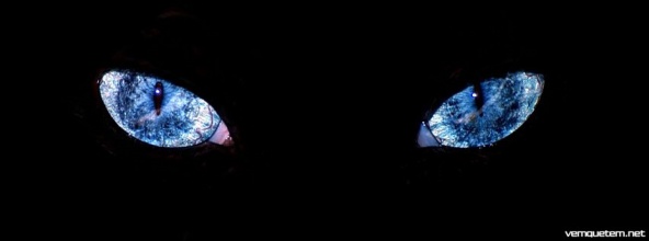 Capas para Facebook, covers facebook, capas para facebook