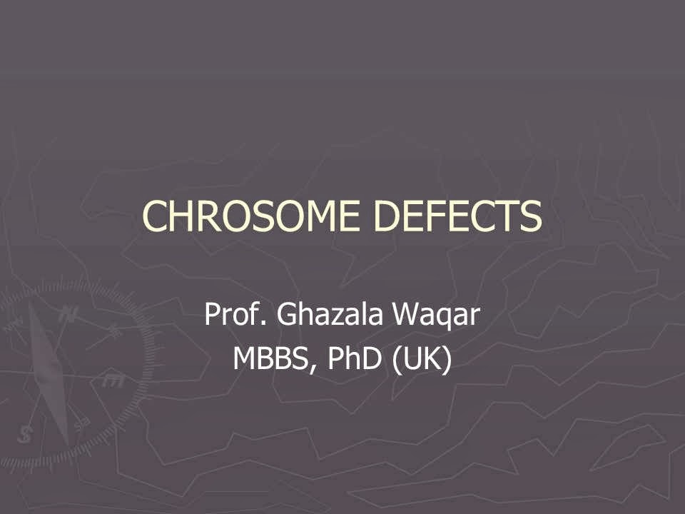 Slide 1