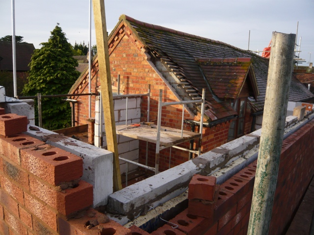 Sawdust In My Socks November 2011