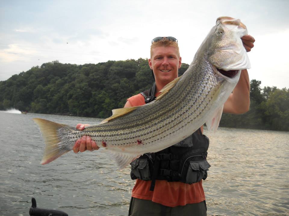 Fish On! Guided Tours. Knoxville, Tn Knoxville Tennessee's Premier Striper Fishing Guide Service