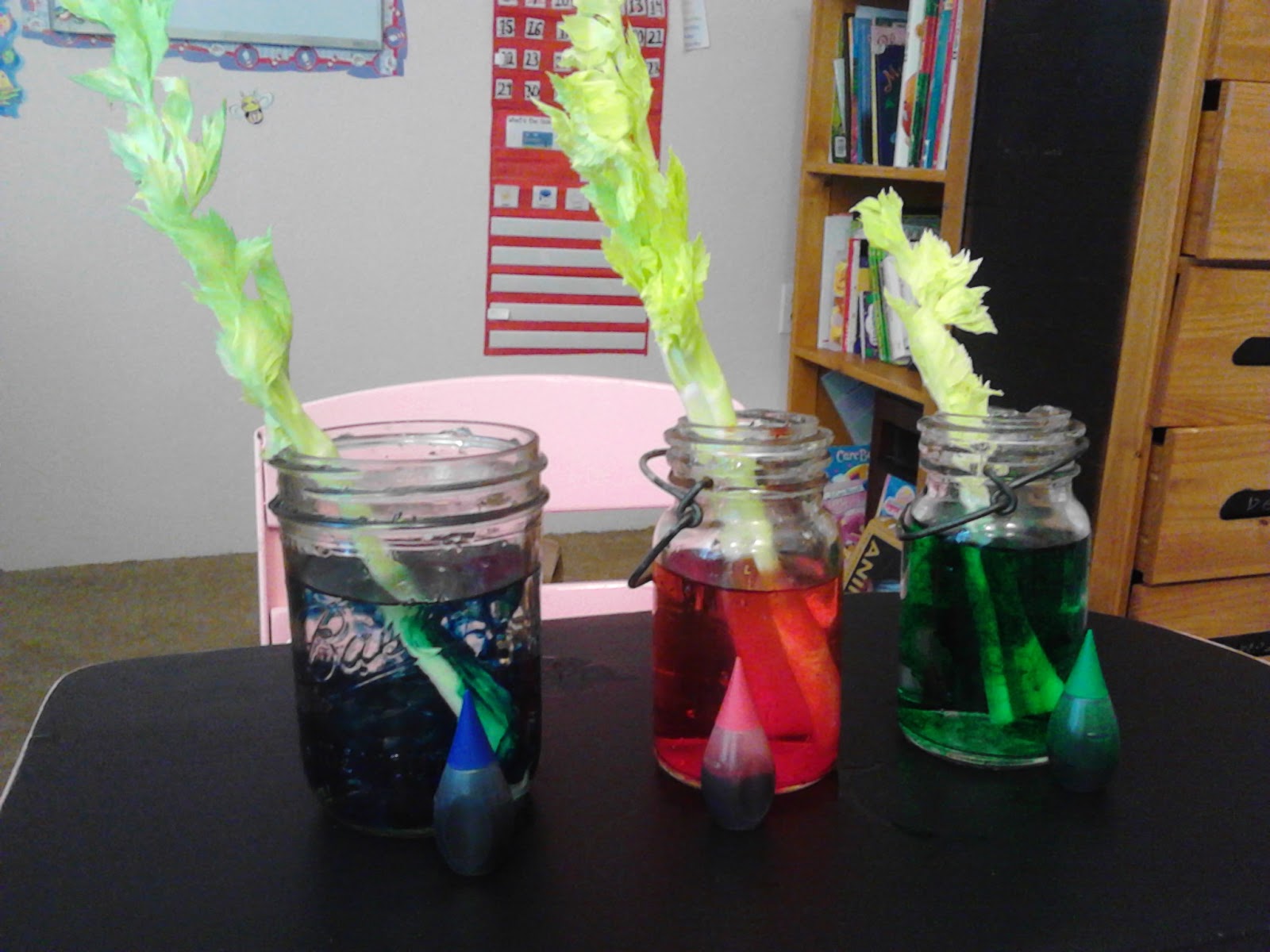 ...Busy Making Memories Simple Celery Science Experiment