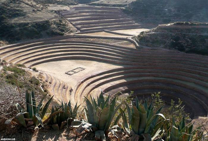One of the most visually stunning Inca ruins is at Moray, an archaeological site in Peru approximately 50 km northwest of Cuzco and just west of the village of Maras. In a large bowl-like depression, is constructed a series of concentric terraces that looks like an ancient Greek amphitheater. The largest of these terraces are at the center – they are enormous in size, and descend to a depth of approximately 150 meter, leading to a circular bottom so well drained that it never completely floods, no matter how plentiful the rain.