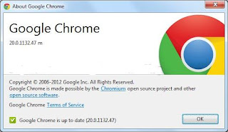 Google Chrome 20.0.1132.47 Full Offline Installer