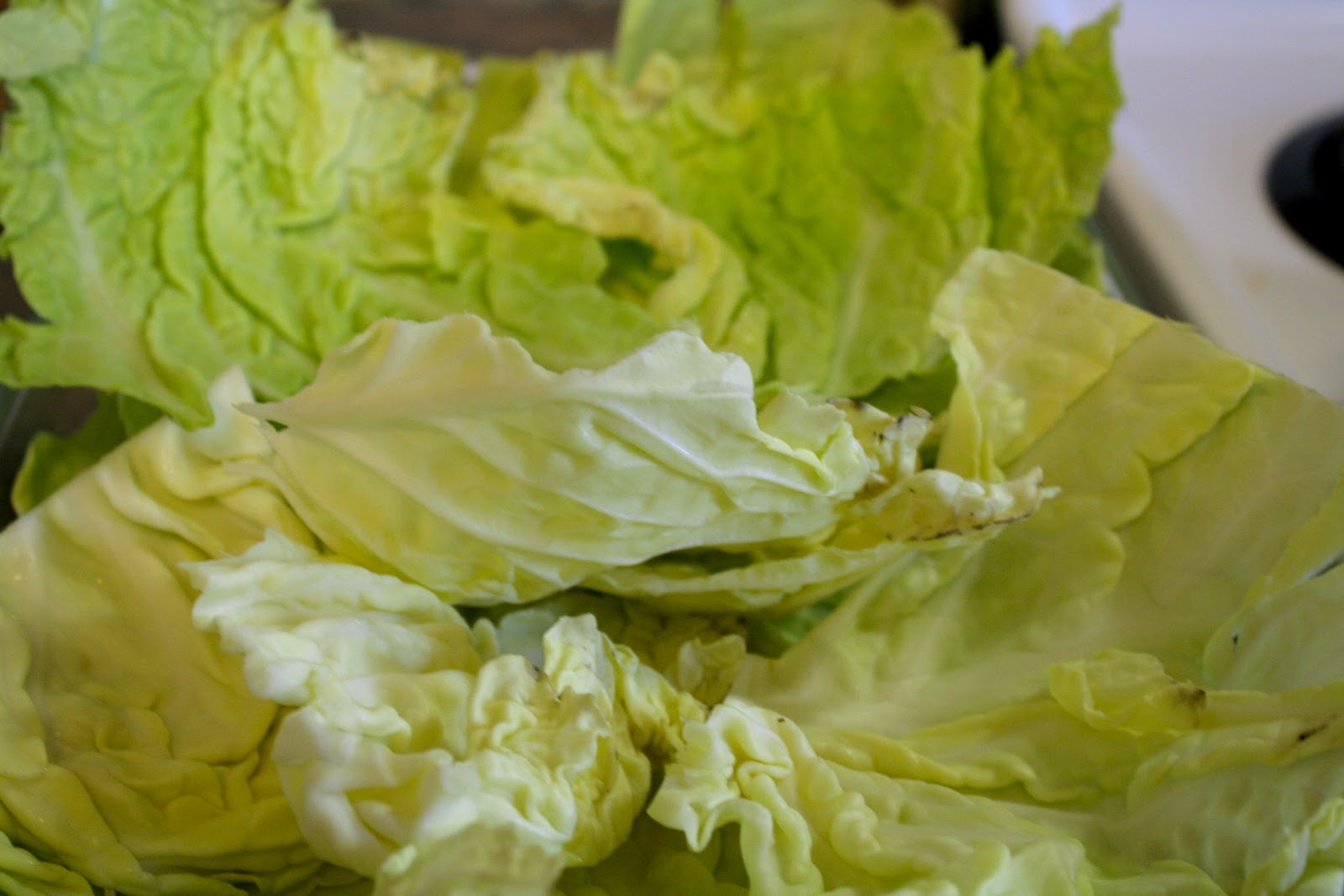 Bossy Italian Wife Italian Cabbage Rolls