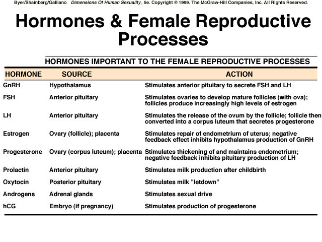 human anatomy and physiology chapter 24 reproductive system female reproductive hormones chart
