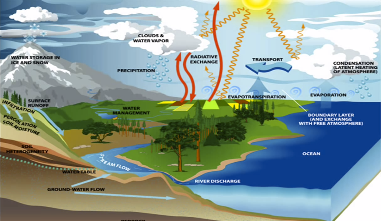 The Water Cycle Song