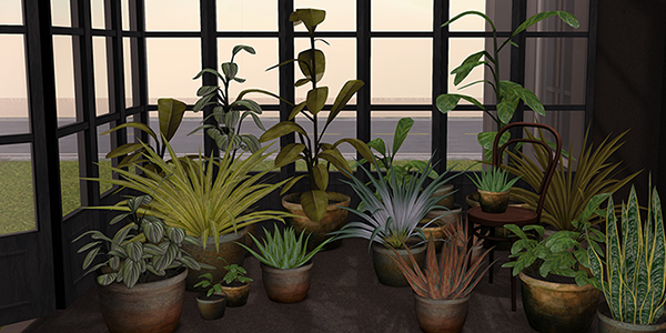 Potted Plant Potted Plant