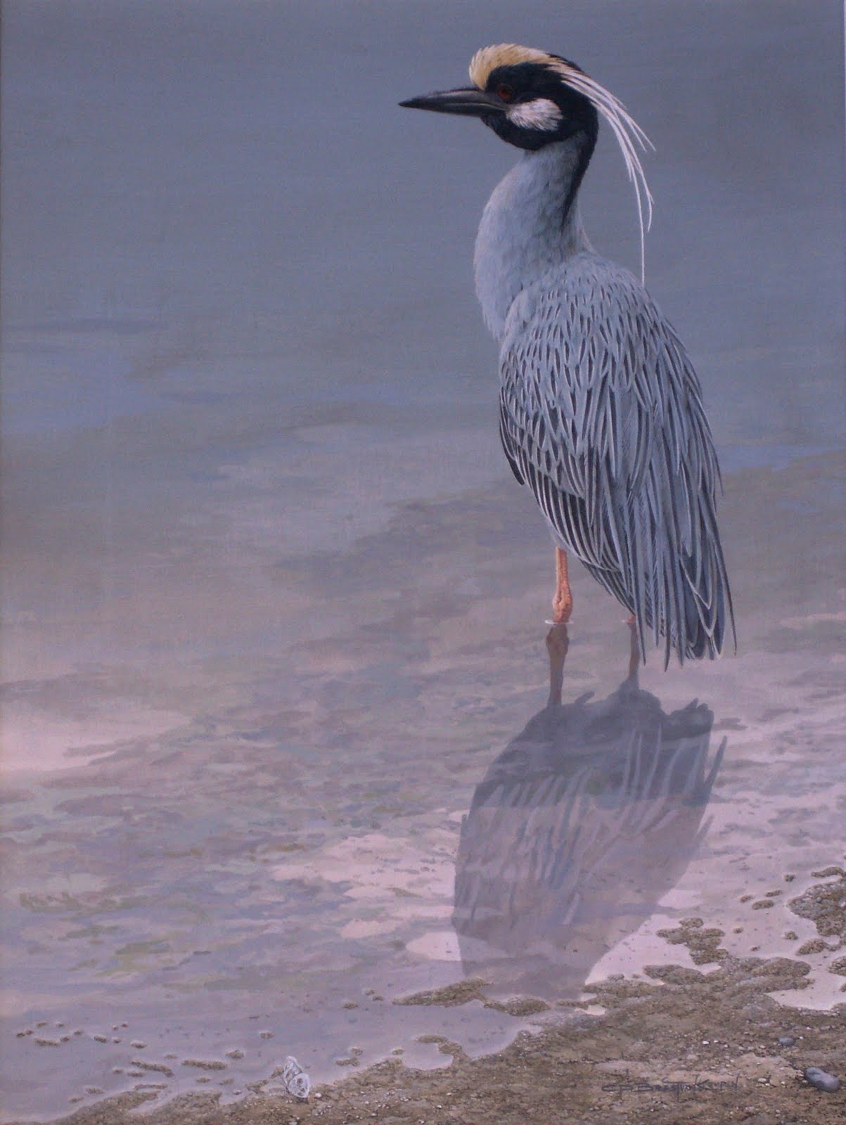 Lonely Brooding Vigil Of Solitary Heron >> Brest Van Kempen Tour July 2012 Lonely Brooding Vigil Of Solitary Heron >> Brest Van Kempen Tour July 2012