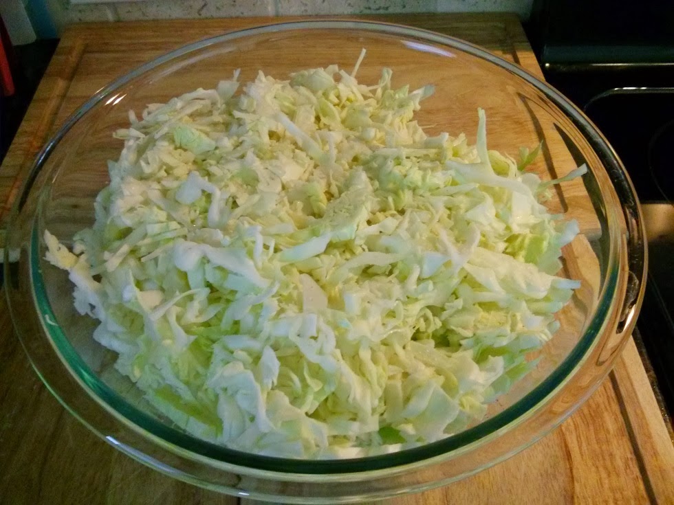 sauerkraut cabbage shredded