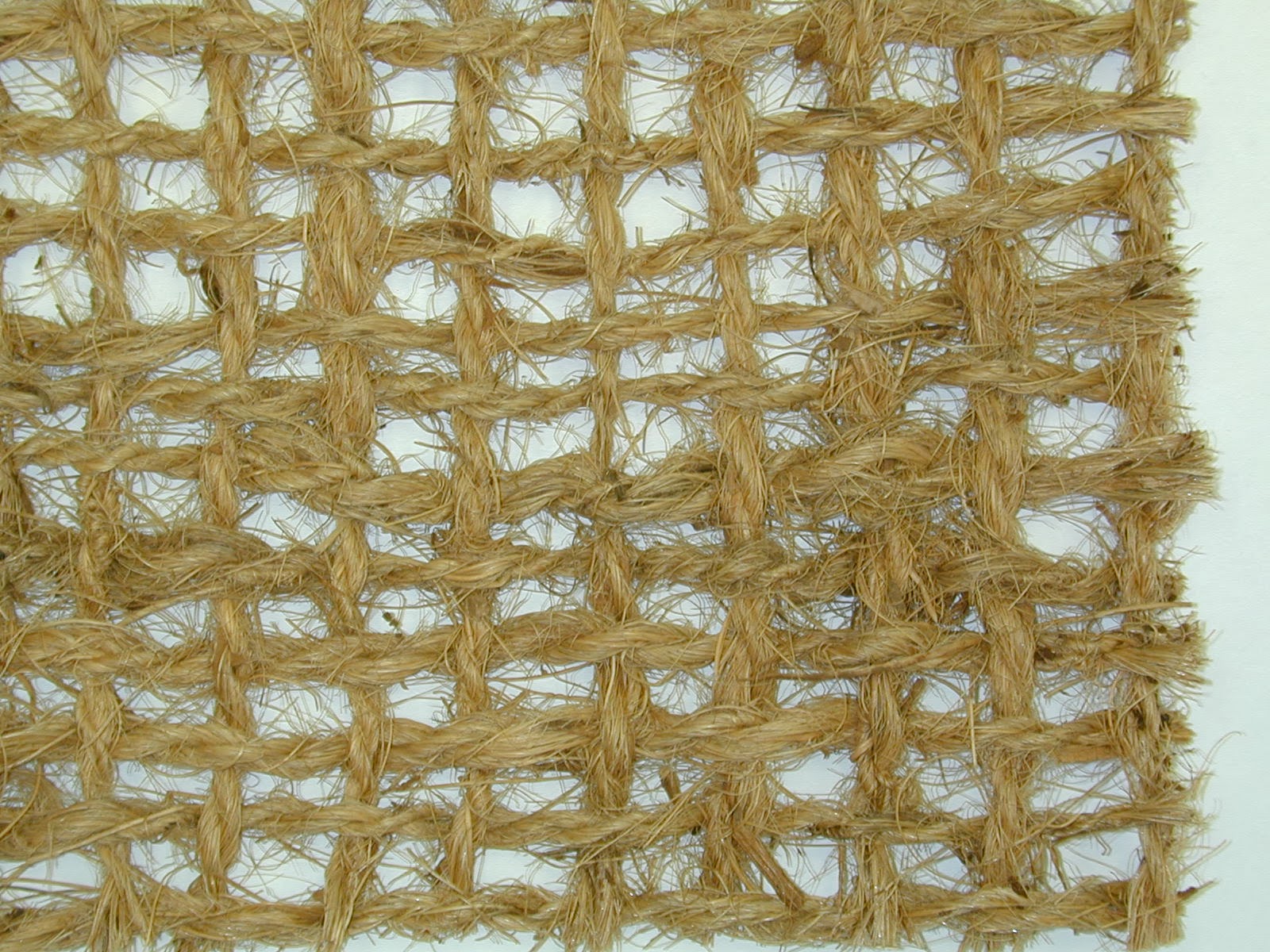 Pinelands Nursery Choosing an Erosion Control Product when Seeding or