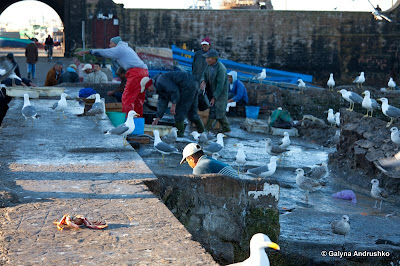 В Марокко через Европу на собственном авто В Марокко через Европу на собственном авто