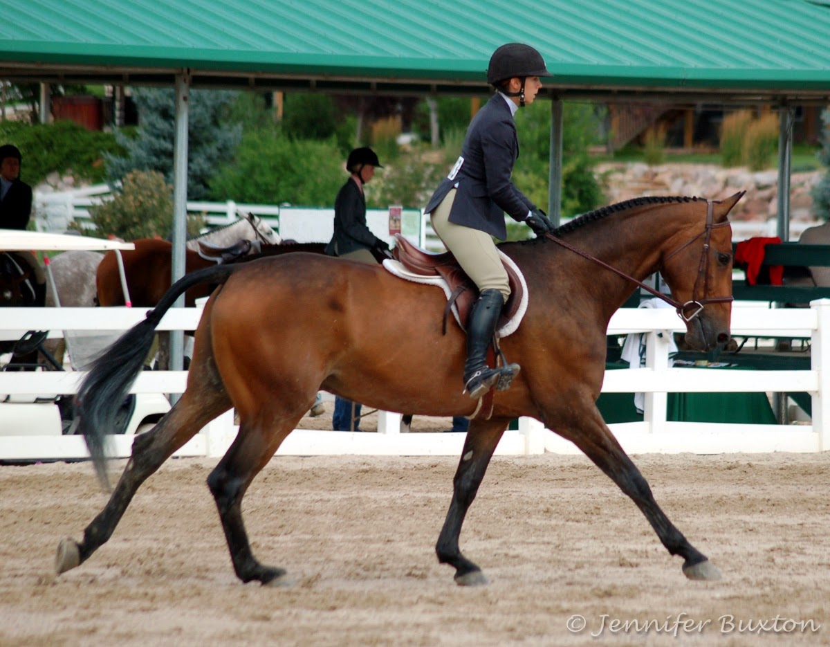 Braymere Custom Saddlery Canter leads