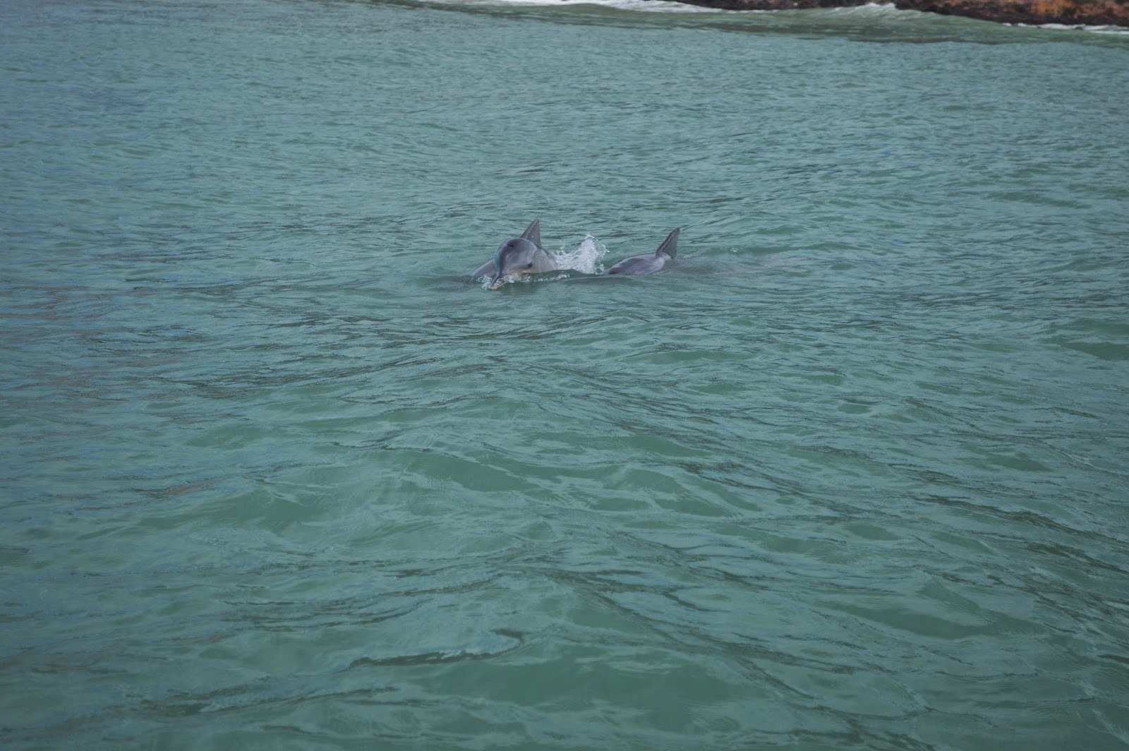 rencontre bateaux en bois