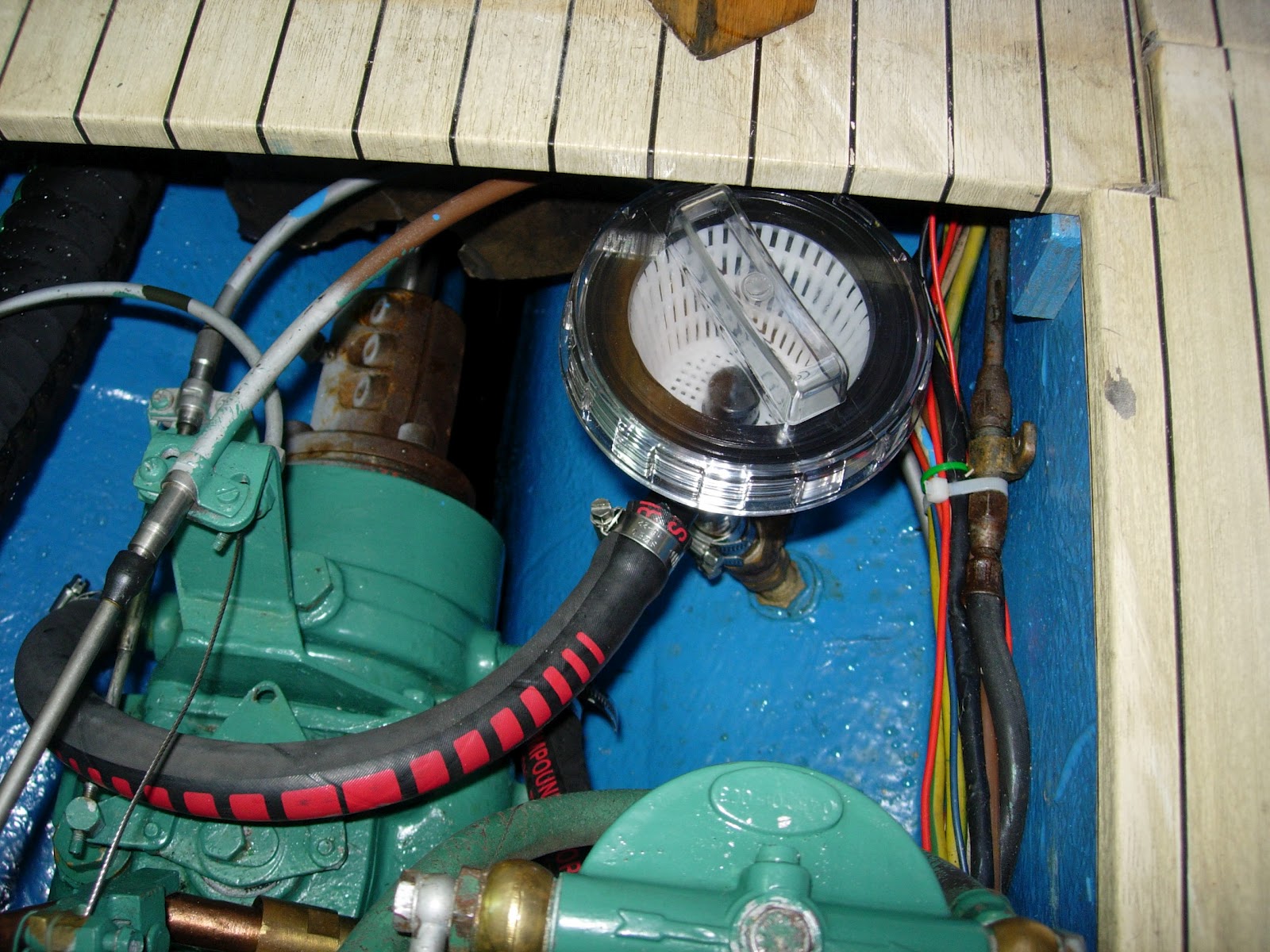DSCN5278.JPG