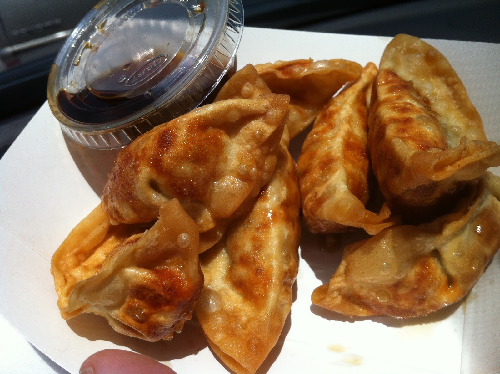 Houston Food Truck Reviews Phamily Bites Fried Potstickers