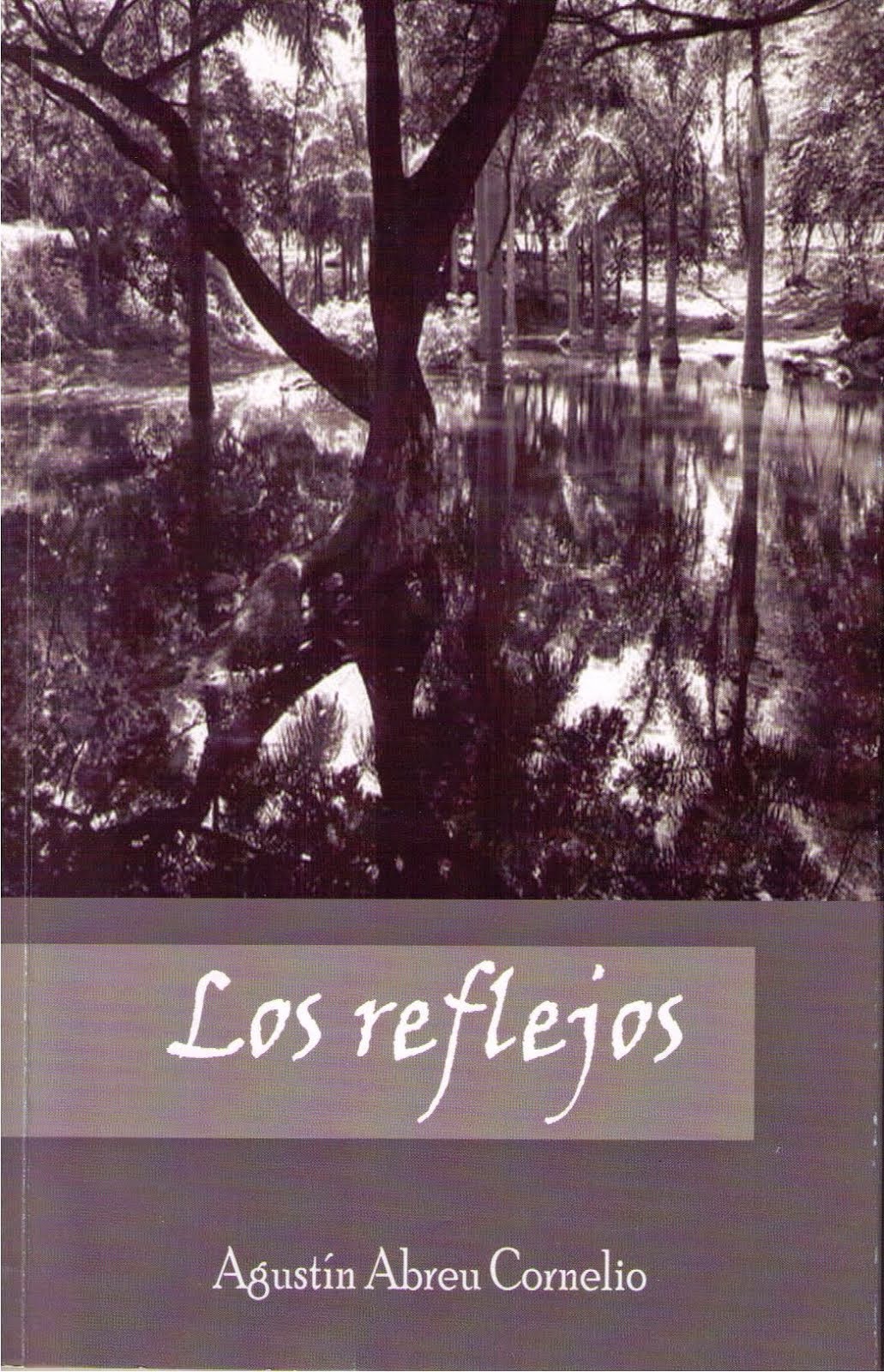 Los reflejos