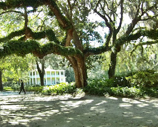 Reisetipps Florida Usa Tallahassee Automobile Museum