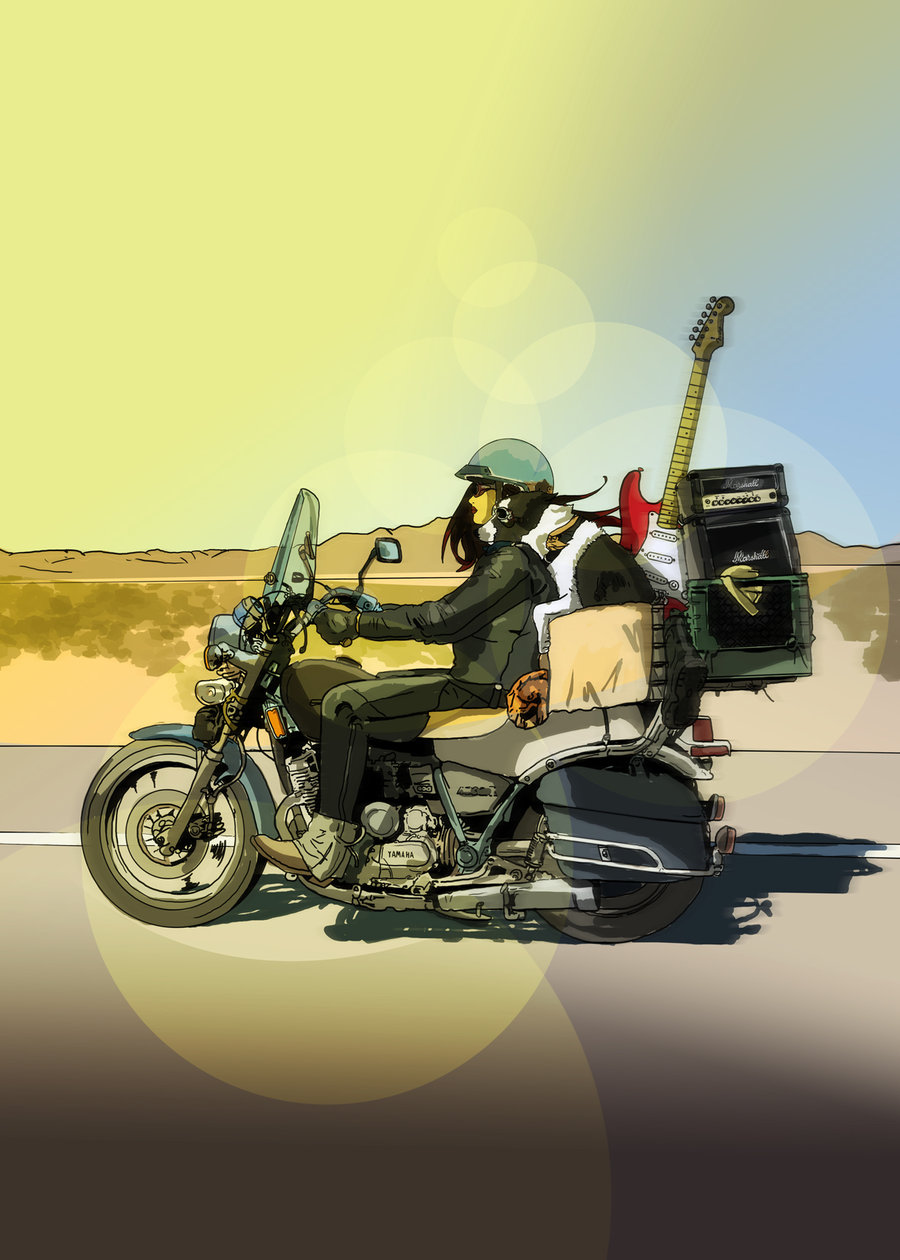 Image result for guitar amp on motorbike