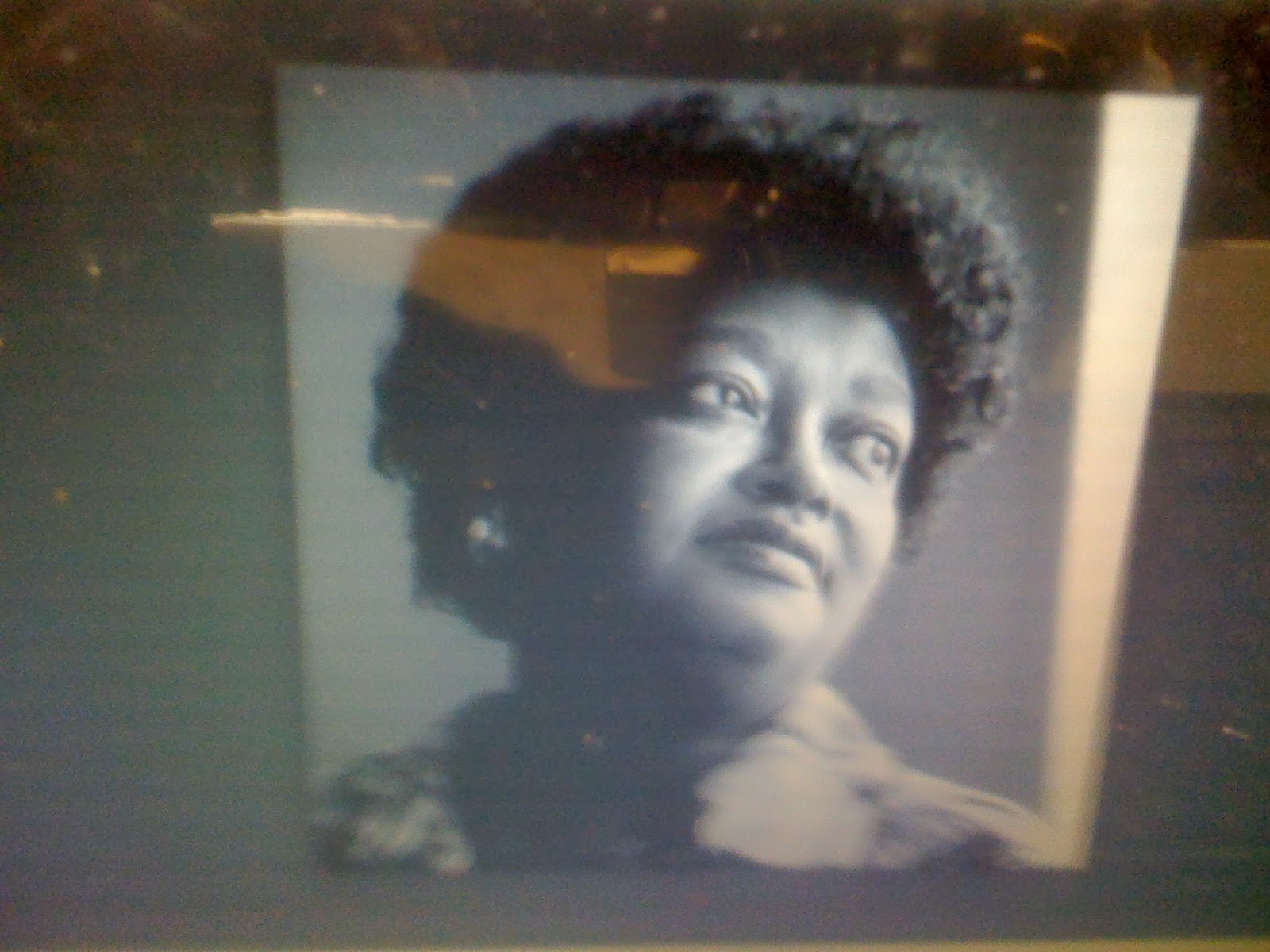 THE BLACK SOCIAL HISTORY BLACK SOCIAL HISTORY AFRICAN AMERICAN