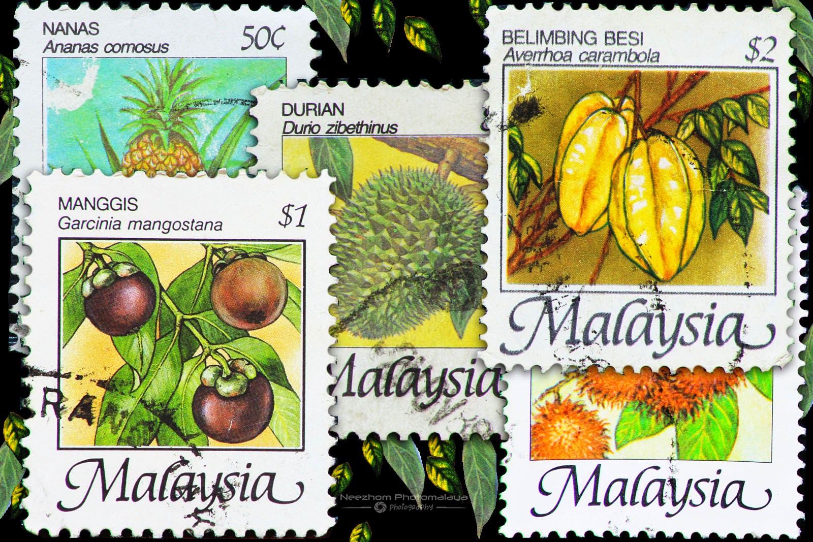 Fruits of Malaysia Definitives Stamps | Stamps Gallery